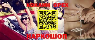 индика Пенза