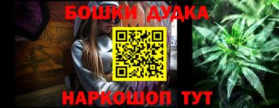 индика Пенза