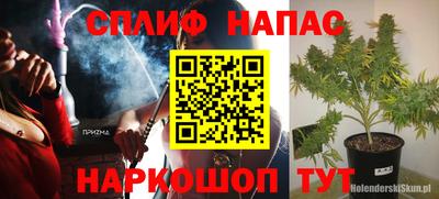 прущие грибы Партизанск