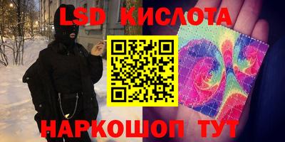 индика Пенза