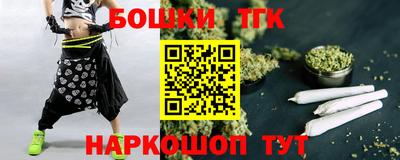 индика Пенза