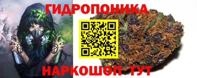 прущие грибы Партизанск