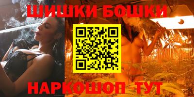 индика Пенза