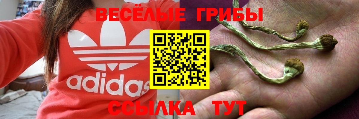 Сыктывкар  Галлюциногенные грибы MAGIC MUSHROOMS  Вход с VPN 