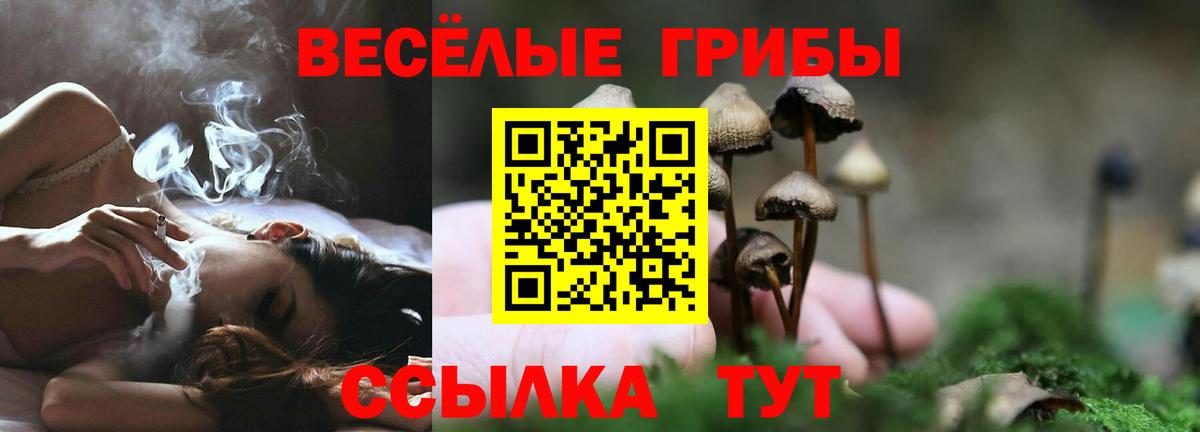 Псилоцибиновые грибы прущие грибы Сыктывкар